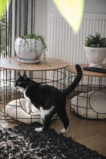 Домик для кошек Uyan Home
