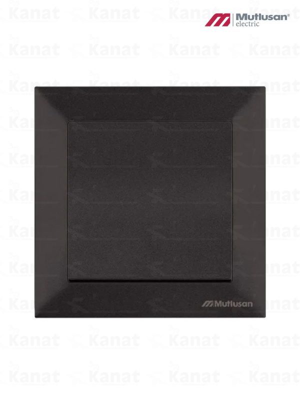 Выключатель с рамкой одноклавишный, серебристый